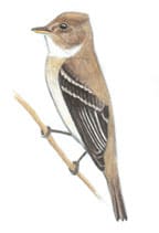 Virgin River Program