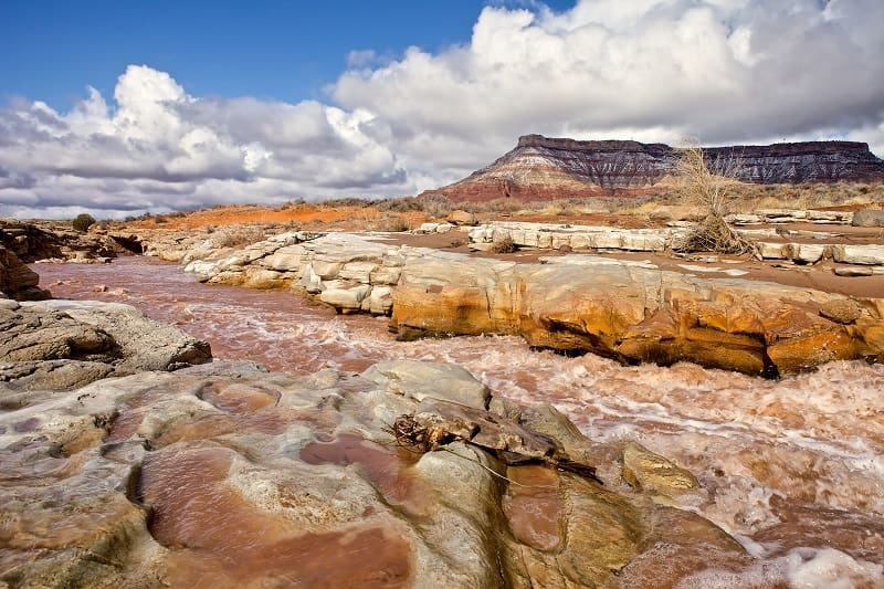 Virgin River Program