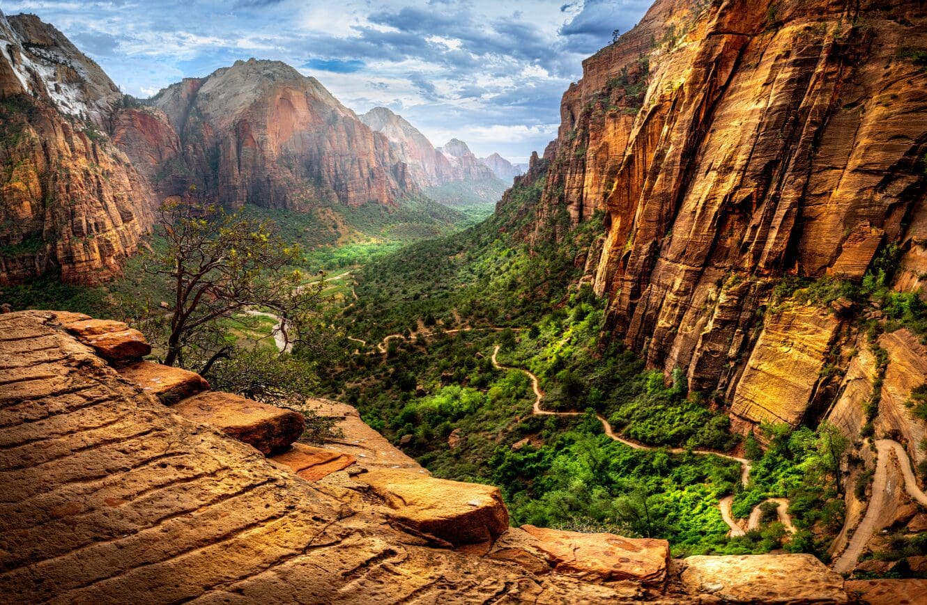 A painting of the mountains and trees in zion national park.