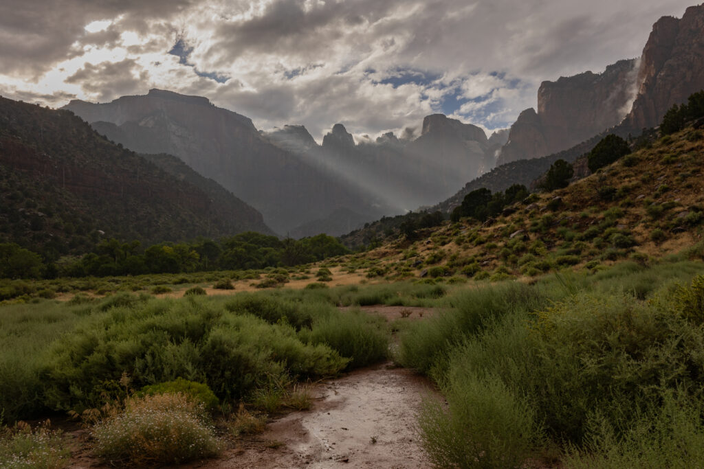 Sunbeams in the rain Zion National Park