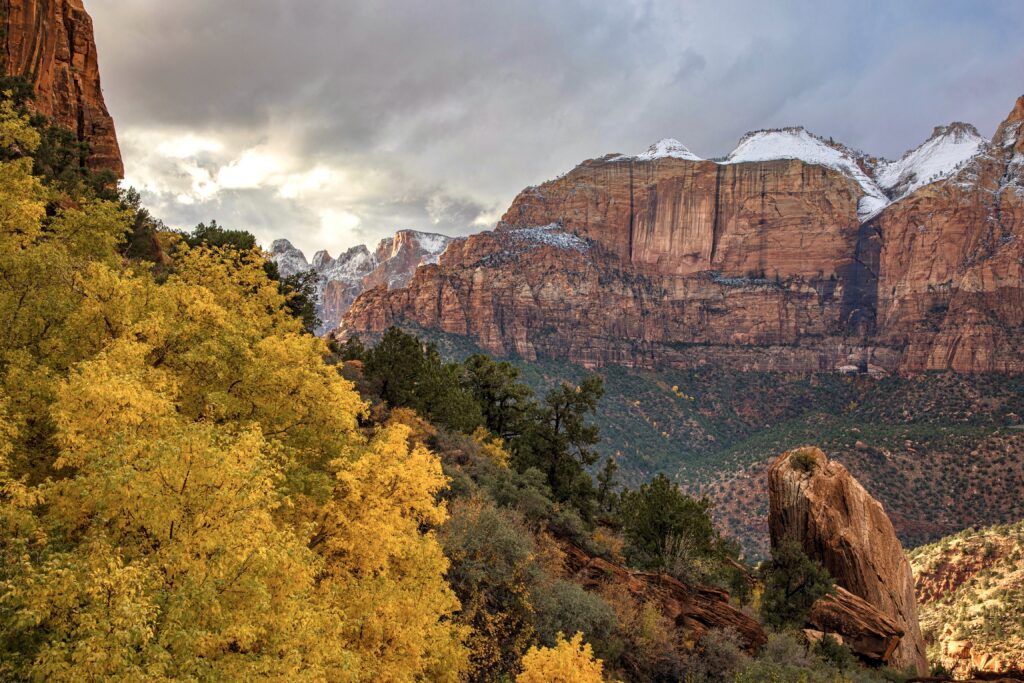 Autumn on the Switchbacks. The cottonwood trees are ablaze at every turn leading to the Zion Mt. Carmel Tunnel.