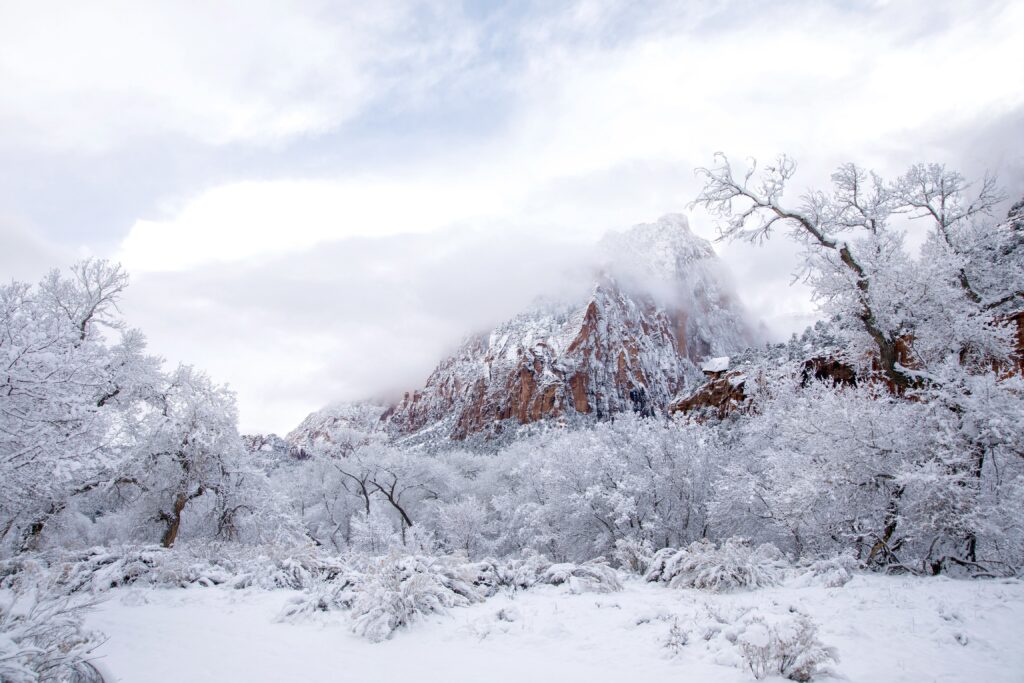 Fresh Powder in Zion Canyon. My absolute favorite time to be in Zion is early winter morning after a fresh snow. If you get there and see just one set of footprints, there’s a good chance they’re mine.