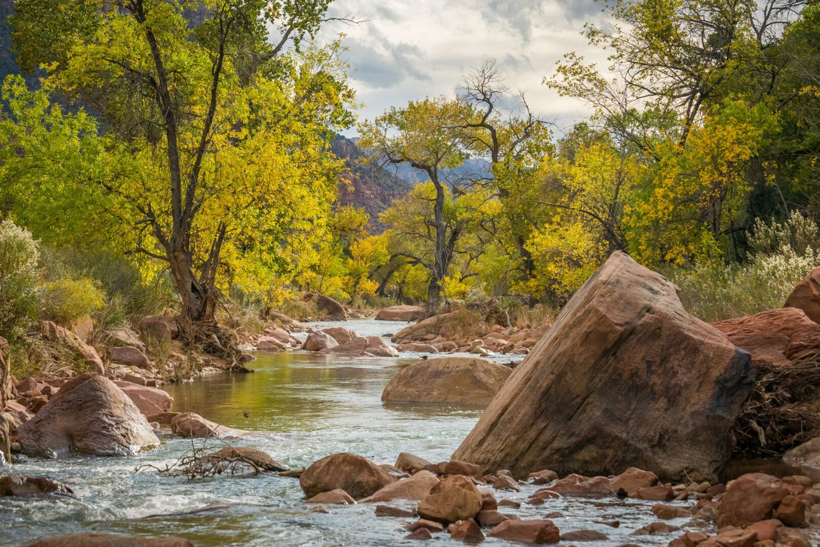 Riparian Habitat Restoration: Maintaining A Jewel In The Desert ...