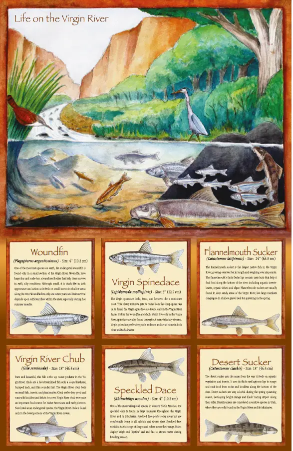 Screenshot-2023-07-07-162835-1