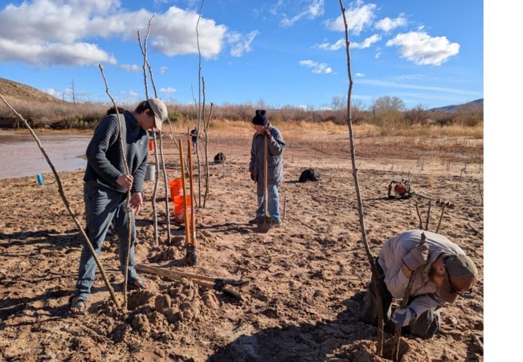 Scouting America Volunteers working with Utah Division of Wildlife to plant willows along the Virgin River 