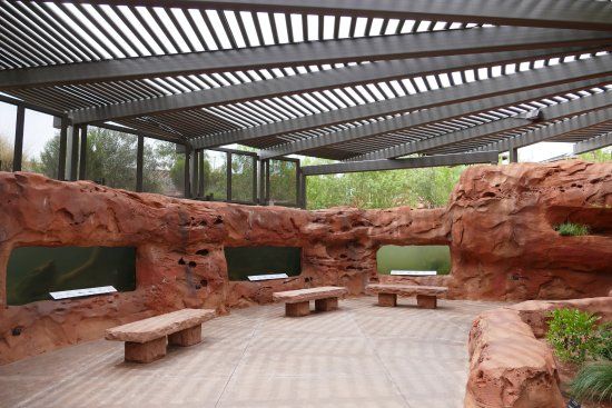 Rock wall with windows providing an underwater view into the stream at Red Hills Desert Garden, St George, Utah