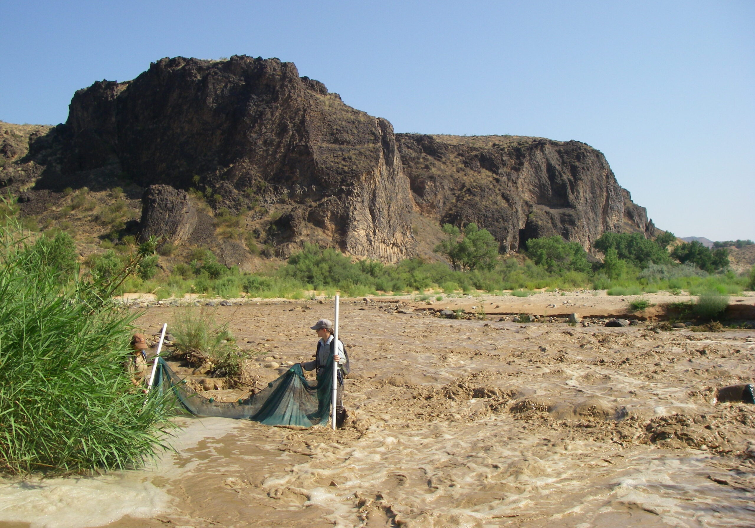<i/>Biologists seining the Virgin River</i><br>
<small> By: Utah Division of Wildlife Resources</small>